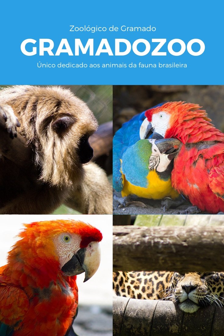 O Zoológico de Gramado é o único do país dedicado apenas aos animais que pertencem a fauna brasileira e uma das 10 atrações para se conhecer na cidade.