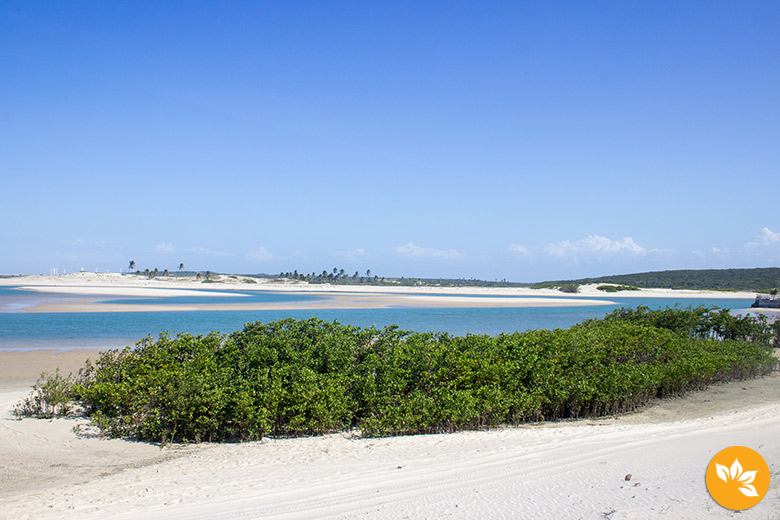 7 praias de Fortaleza e seus arredores para conhecer