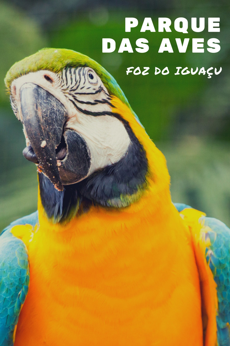 Um dos atrativos da cidade de Foz do Iguaçu é o Parque das Aves que tem mais de 1100 aves e 140 espécies diferentes para você conhecer e apreciar!