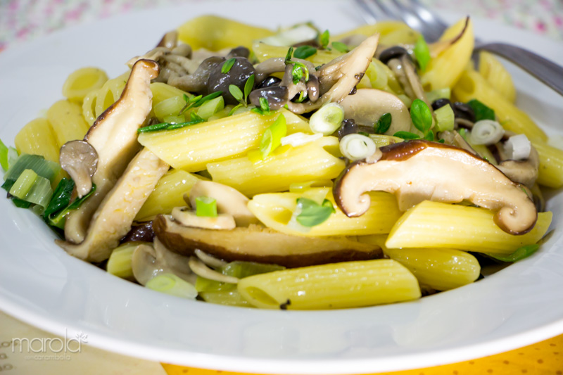 Penne com Mix de Cogumelos