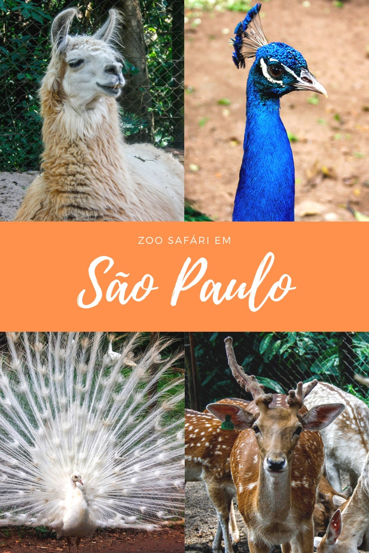 Zoo Safari em São Paulo - Já pensou que você pode fazer um safári dentro da cidade sua cidade? Descubra aqui, onde e as curiosidades deste passeio.