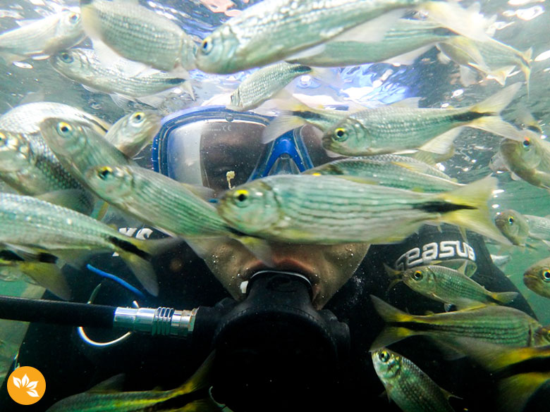 Bonito – Mergulho com Cilindro