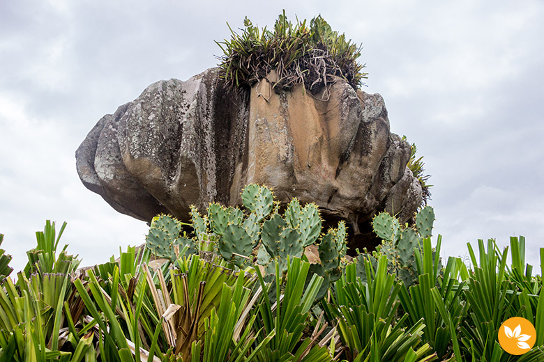 O que fazer no Espírito Santo: Parque Pedra Cebola