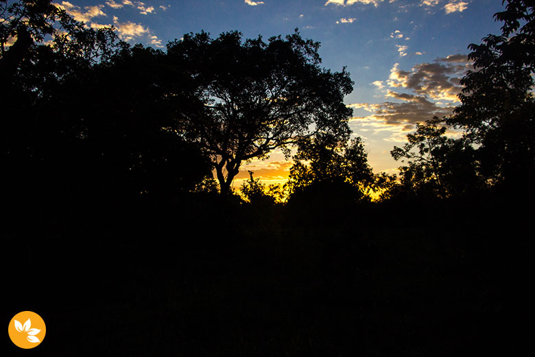 Por do Sol no Passeio a Cavalo na Estância Mimosa