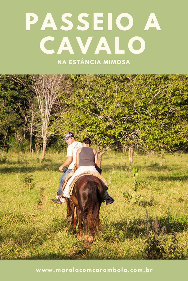 Passeios em Bonito - o Passeio a Cavalo na Estância Mimosa contempla vistas panorâmicas e cenários privilegiados da Serra da Bodoquenha. Vale a pena!