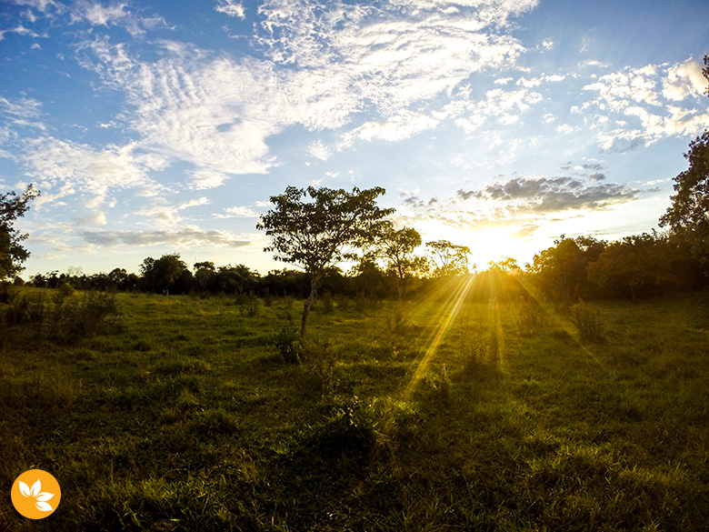 Bonito – Passeio a Cavalo na Estância Mimosa