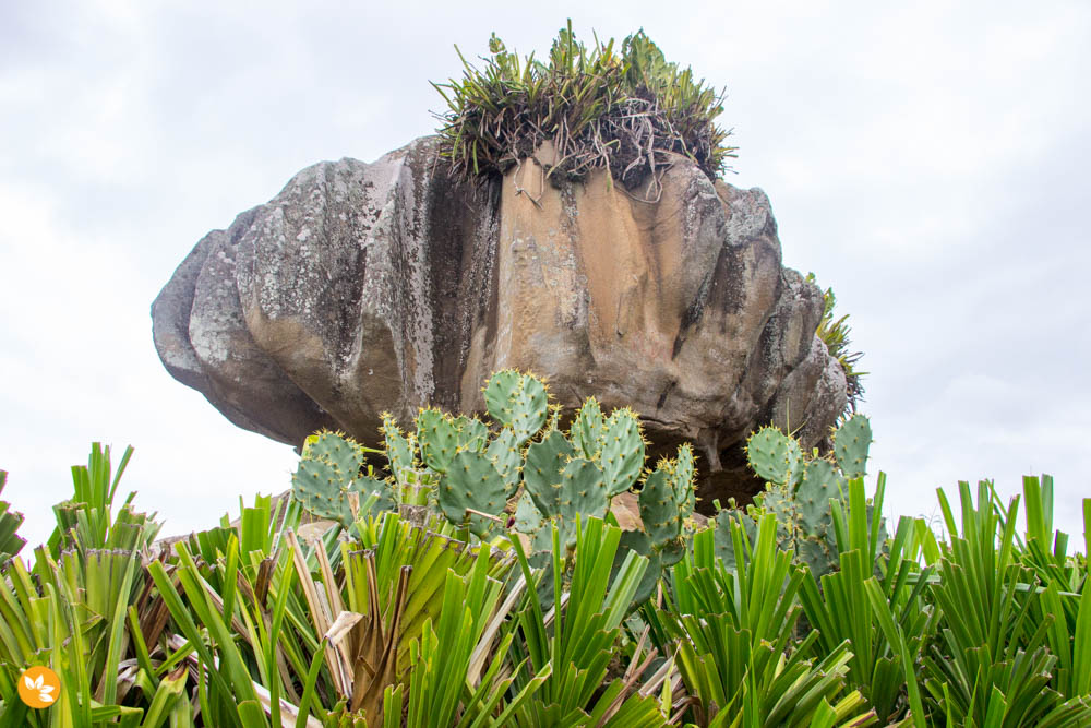 O que fazer em Vitória - Parque Pedra da Cebola