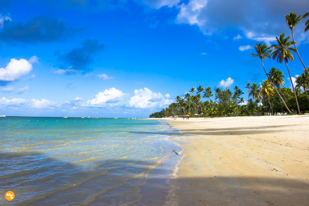 Praia dos Carneiros - Pernambuco