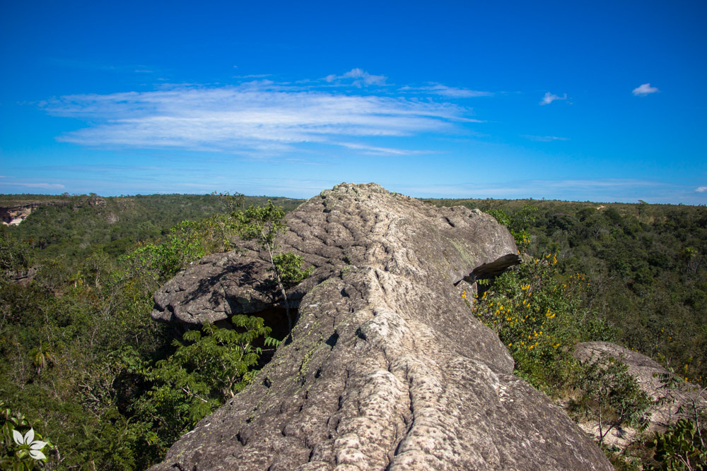 Ponte de Pedra no Circuito das Cavernas - Chapada dos Guimarães