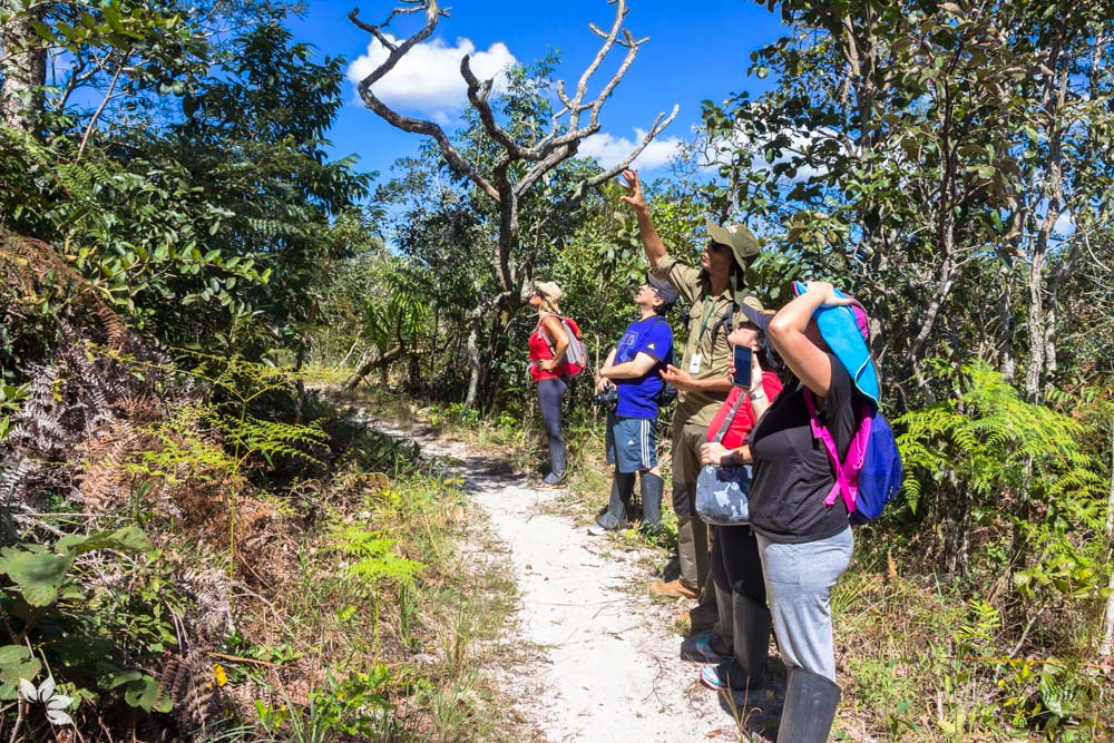 Guia Pablo explicando a fauna do cerrado