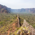 Crista de Galo na Chapada dos Guimarães - MT