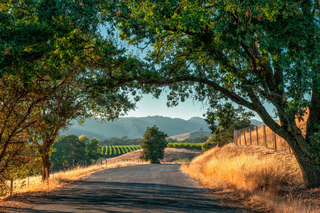 Condado de Sonoma