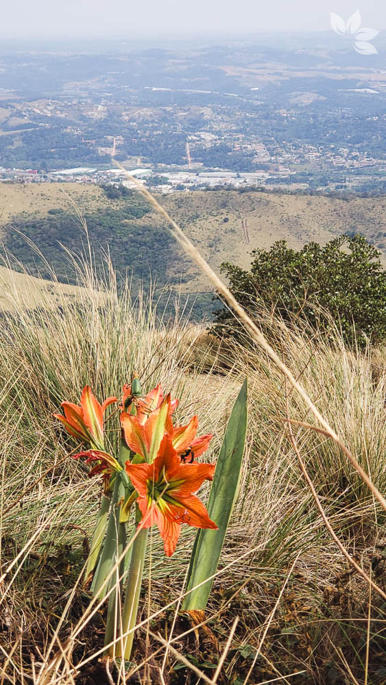 O que fazer em Atibaia - Pedra Grande